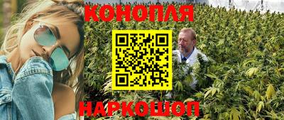 МДПВ Кунгур