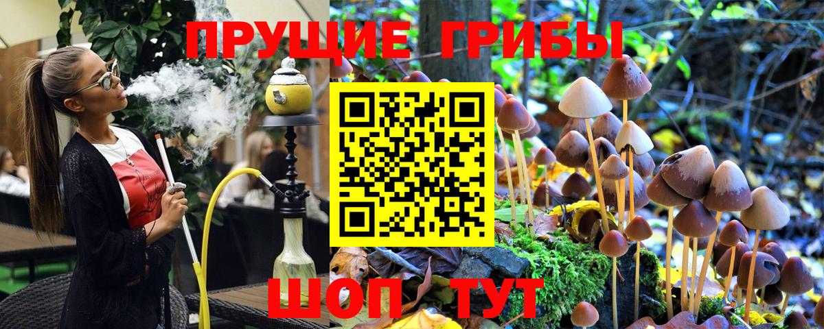Псилоцибиновые грибы Psilocybe Клинцы