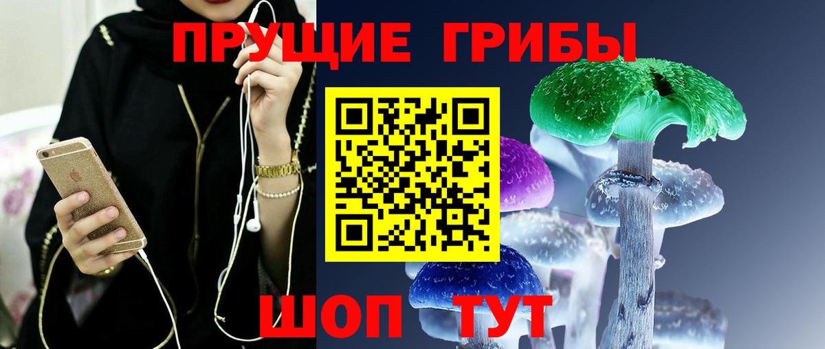 Клинцы  Псилоцибиновые грибы GOLDEN TEACHER  Вход с VPN  Псилоцибиновые грибы MAGIC MUSHROOMS 